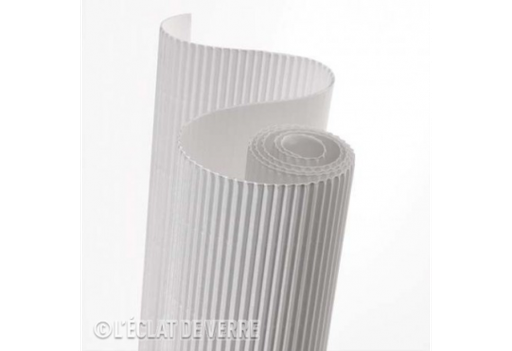 ROULEAU PAPIER ONDULE CANSON  300G (Blanc)